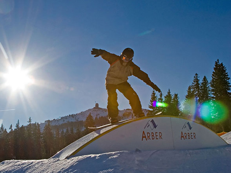 snowboard, snowboard arber