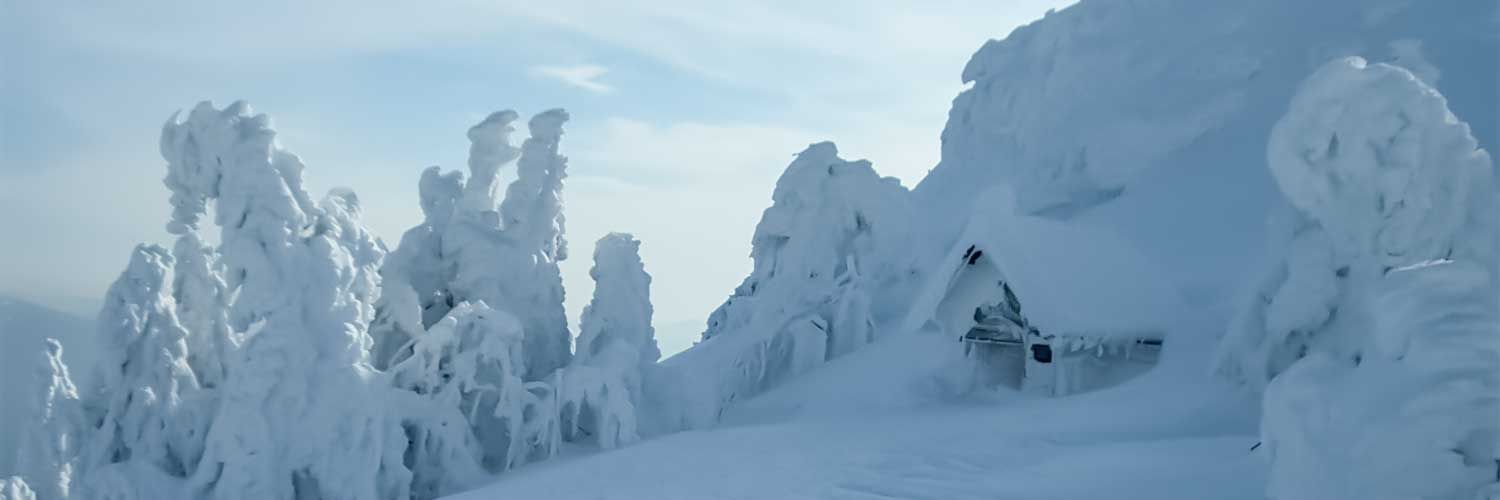  Bayerischer Wald